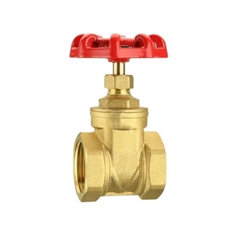 2 Inch Brass Gate Valve Dn50