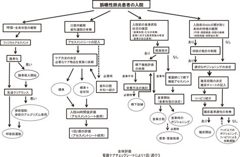 誤嚥性肺炎患者のケア統一に向けての一助