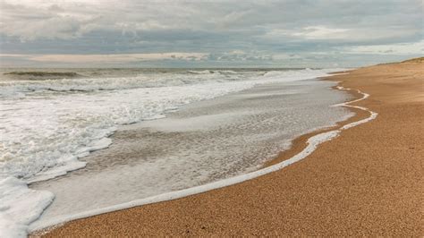 Playa Dinamarca Mar Del Foto Gratis En Pixabay Pixabay