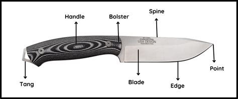 Knife Anatomy Parts Of A Knife
