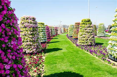 Dubai Miracle Garden - Designsekcja