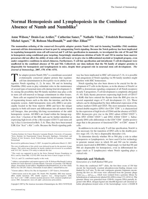 Full article: Normal Hemopoiesis and Lymphopoiesis in the Combined ...