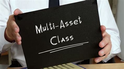 Best Multi Asset Allocation Funds To Invest In Mint