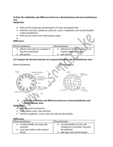 Solution Biology Form 2 Notes Studypool