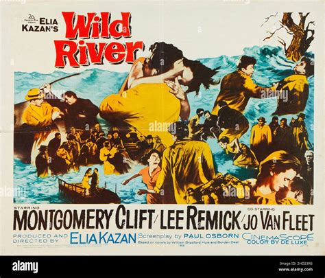 Wild River (1960 poster - half sheet movie poster) feat Montgomery ...