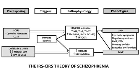 The Authors New Schizophrenia Theory Trigger Factors Including