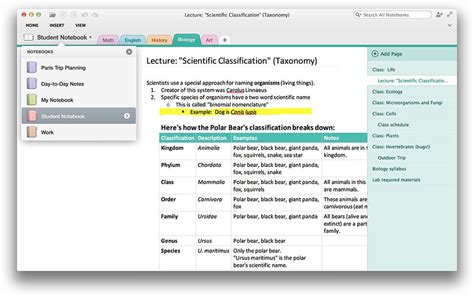 Microsofts New Onenote App For Mac Is Available Now Cult Of Mac