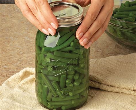 How To Store Fresh Green Beans Long Term Storables