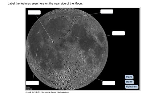 Solved: Label The Features Seen Here On The Near Side Of T... | Chegg.com