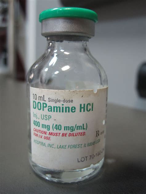 Dopamine And Dobutamine Computation Philippine Nurse