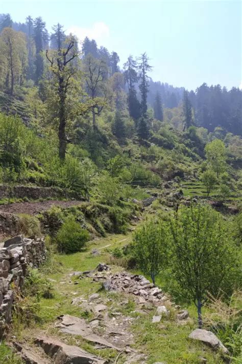 Extremely Compelling Reasons To Visit Tirthan Valley