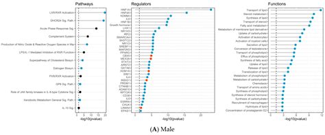 Ijms Free Full Text Maternal Exercise Prior To And During Gestation