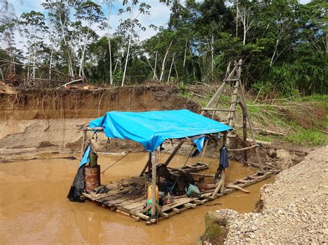 M S De Mineros En Madre De Dios Se Han Empadronado Para Su