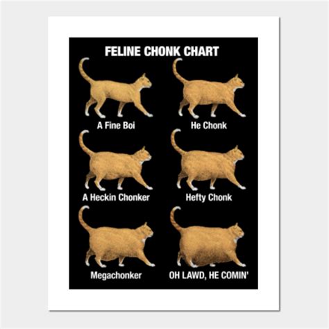 Feline Chonk Chart, Funny Chonk Cat Meme - Chonk Cat - Posters and Art ...