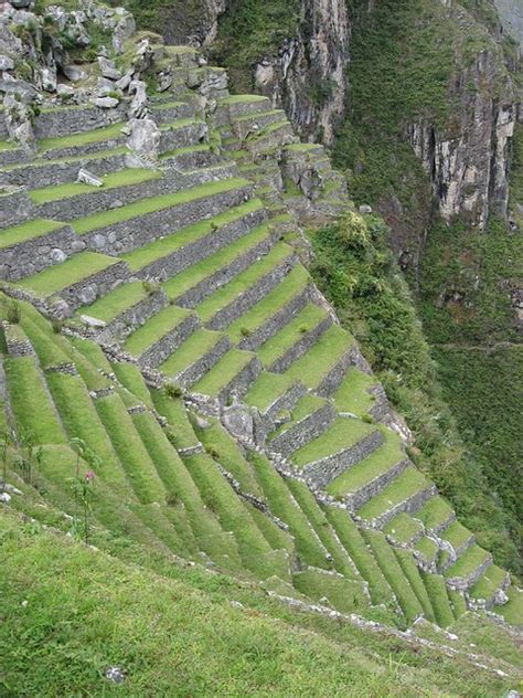 Terrace Farming The Inca Developed An Amazing Farming Syst Flickr