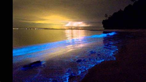 Biolumineszierendes Plankton Schöne Malediven bei Nacht