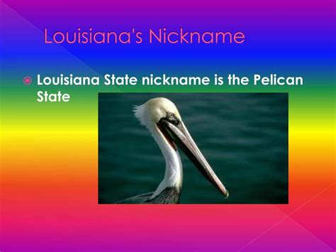 Ppt Louisiana Powerpoint Presentation Free Download Id2220127