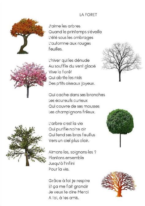 La Chanson De La For T Les Grands De Lamairesse Poeme Nature