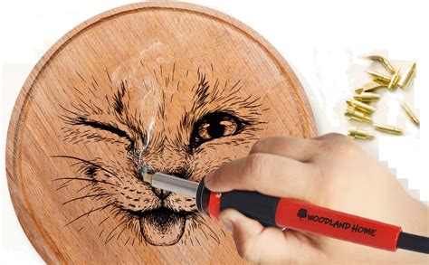 Woodland Home Wood Burning Kit Pyrography Pen Fully Adjustable