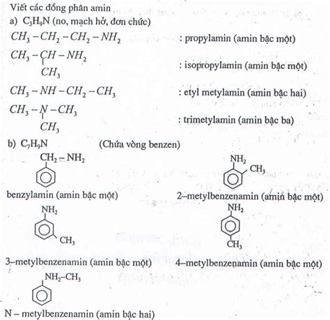 Lý Thuyết Bài Dạng 1 Bài Tập Về đồng Phân Và Danh Pháp Amin Amino Axit Peptit Lib24 Vn