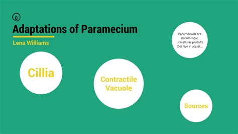 Paramecium Adaptations By Lena Williams