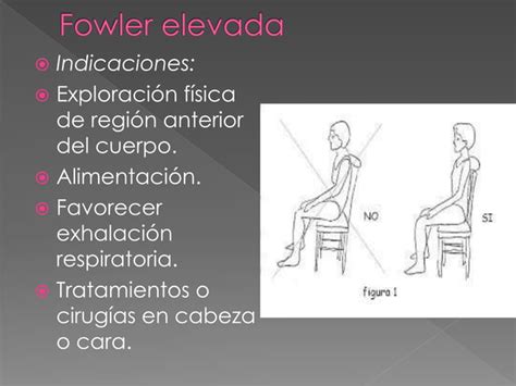 Posiciones anatómicas aplicadas en enfermeria PPT