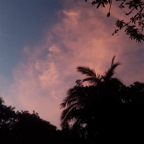 Fuck Me With The Lights Off Single By Nikowon Spotify