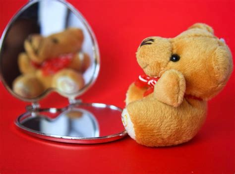 Free Picture Teddy Bear Mirror Toy