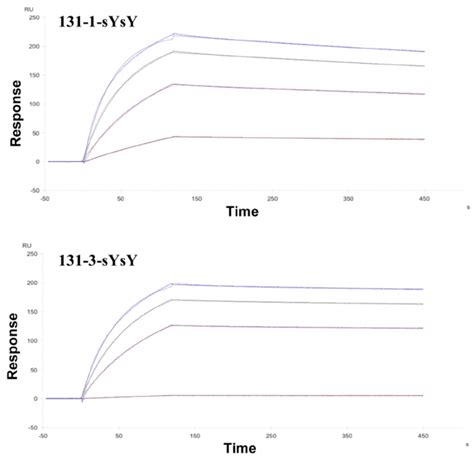 Spr Sensorgrams Determined At 25 °c For 131 1 Sysy And 131 3 Sysy