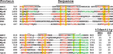 Sequence Alignments Of The Putative Ph Domain Of Amic With Ph Domains