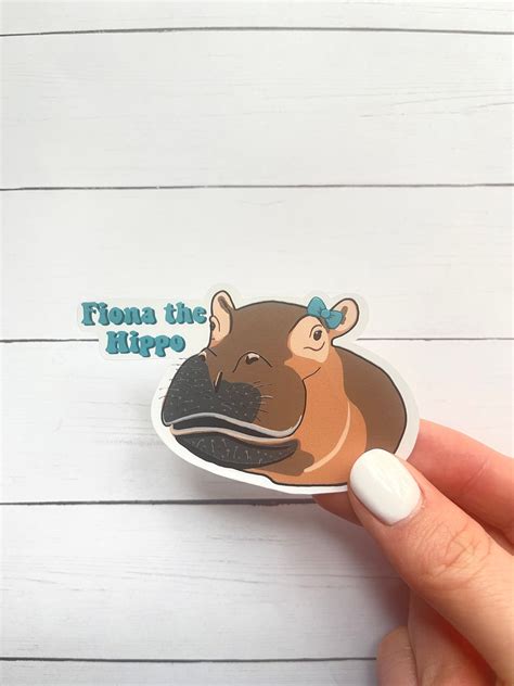 Fiona the Hippo Sticker Fiona Cincinnati Zoo Sticker Hippo | Etsy