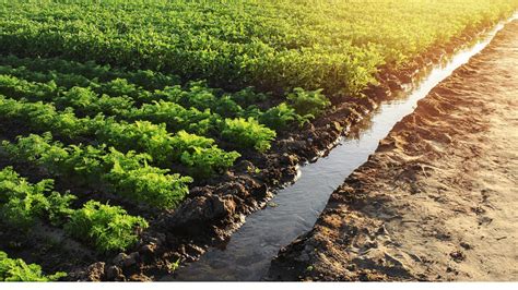 Ekopak salue la sortie du décret sur le REUT dans lagroalimentaire