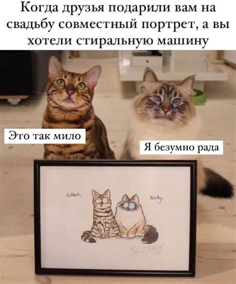 Мемы, юмор, кошки | Иллюстрации кот, Котята, Милые котики