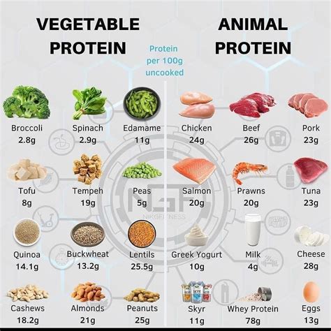 Healthy High Protein Meals Protein Rich Foods Lean Protein High