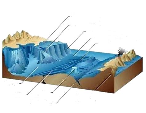 Print Map Quiz Formas Del Relieve Oce Nico Relieve Geograf A