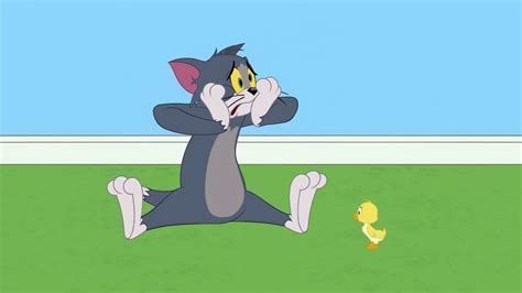 Tom And Jerry Cartoon 2019 Tom And Jerry Hunger Games Best Cartoon 4q R