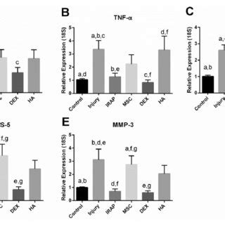 relative expression of A il 1β B tNF α C aDaMtS 4 D