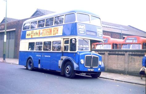 Hartlepool Corporation Transport Bus 2 Aec Regent V Roe 1966 Bus Bus