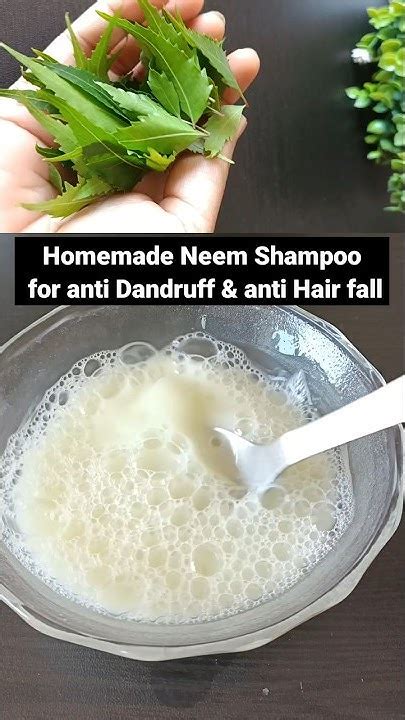 Homemade Neem Shampoo For Anti Dandruff And Anti Hair Fall Remedy