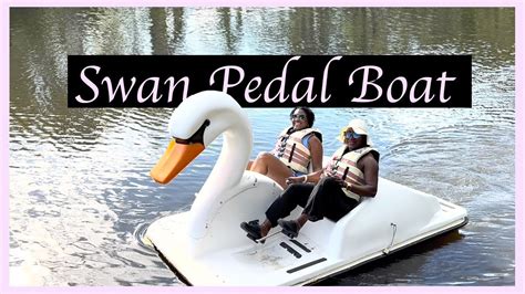 Swan Pedal Boat Youtube