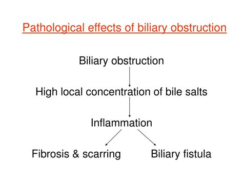 Ppt Biliary Obstruction Autoimmune Diseases Of The Liver Powerpoint