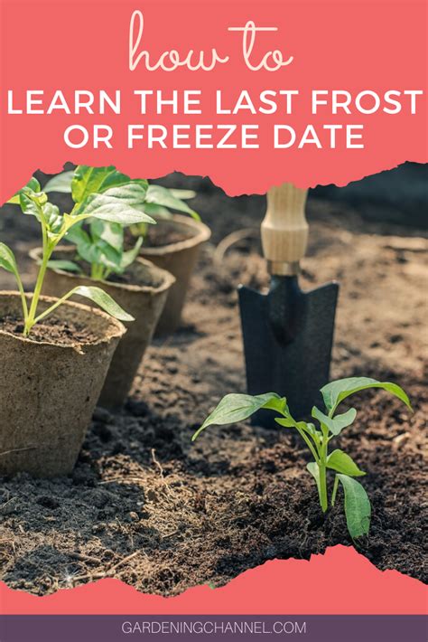 How To Learn Your Last Frost Date Or Freeze Date Artofit