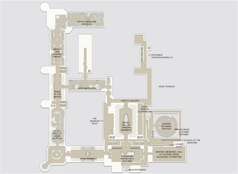 A Night at the Museum: Self-Guided Tour Highlights | AMNH