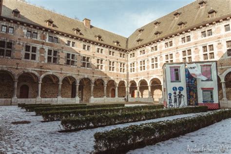 Visite au musée de la vie Wallonne de Liège Sauts de puce