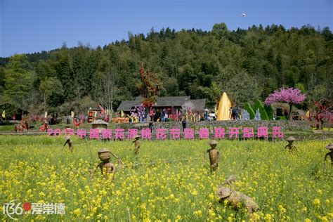 常德桃花源桃花节2021常德桃花源桃花节大山谷图库