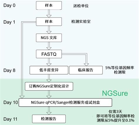 Ngsure