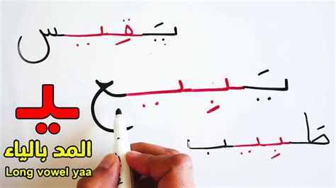 قراءة و كتابة كلمات سهلة مع المد بالياء تعليم اللغة العربية Learn