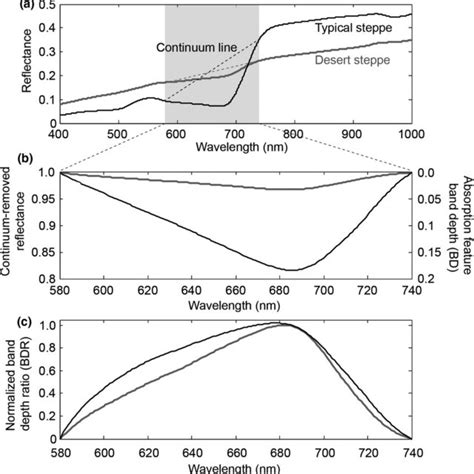 Mean Canopy Reflectance Spectrums In The Typical And Desert Steppes And