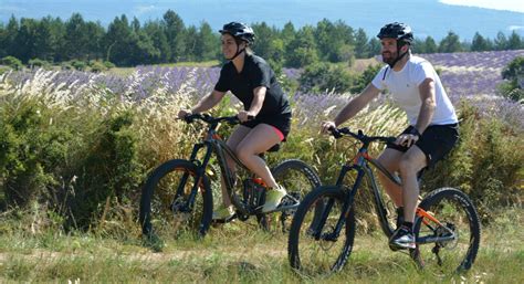 D Couvrir Le Ventoux V Lo Site Officiel Du Parc Naturel R Gional Du