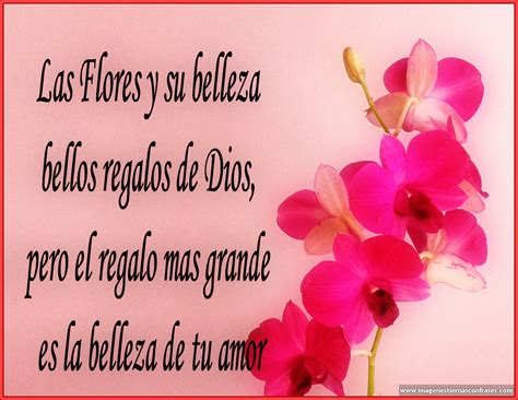 Imagenes Tiernas Con Frases Tiernas Para Romanticos Im Genes De Whatsapp